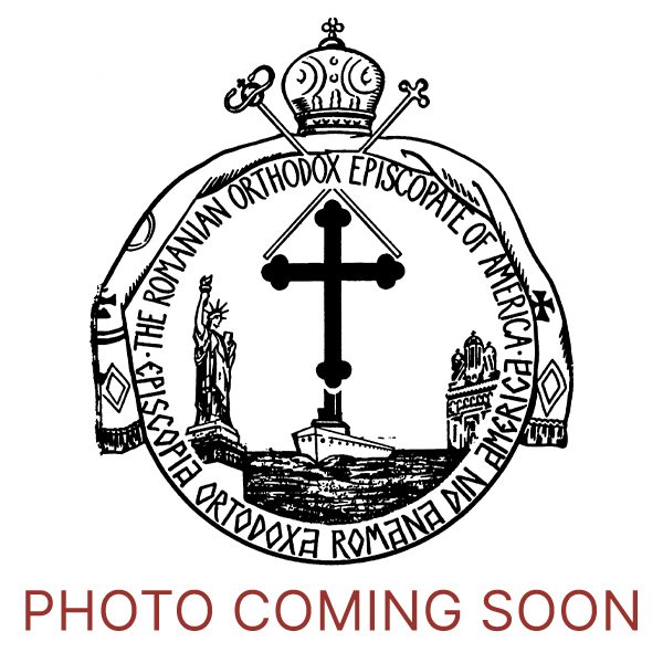 photo coming soon